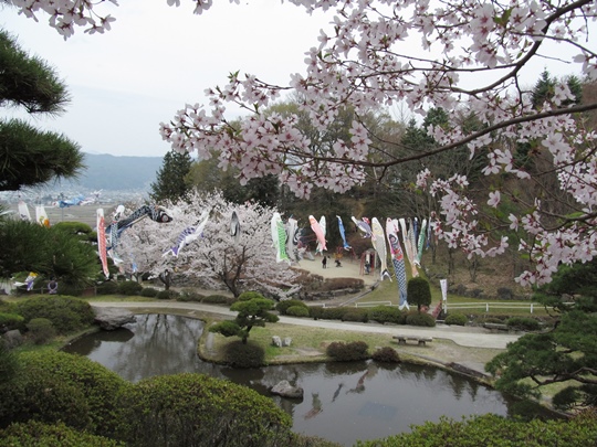 0417桜の公園。.JPG