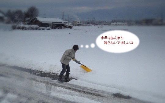 2011雪かき.jpg
