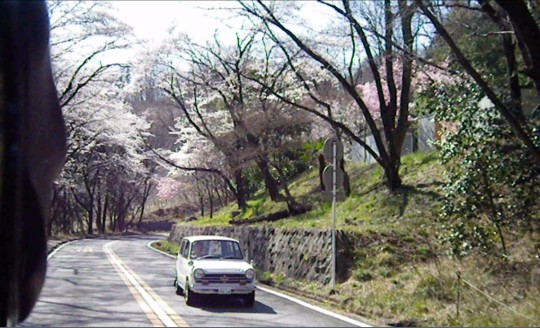 桜とN360。.jpg